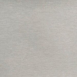 FC31-Silver