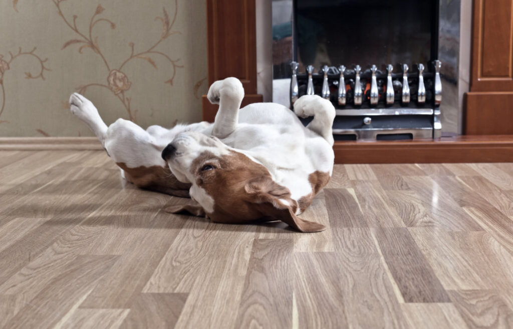 Flooring Trends