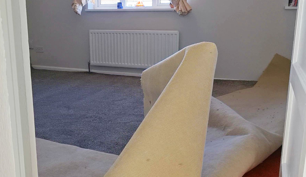 Replacing Your Carpet