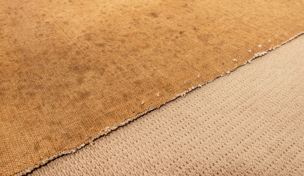 Carpet Mould