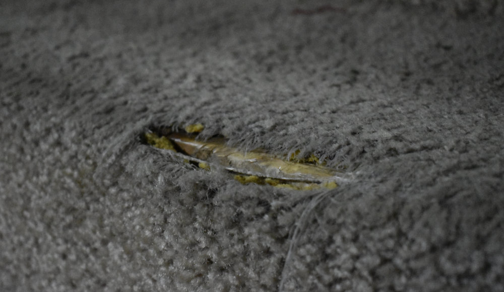 Carpet Damage