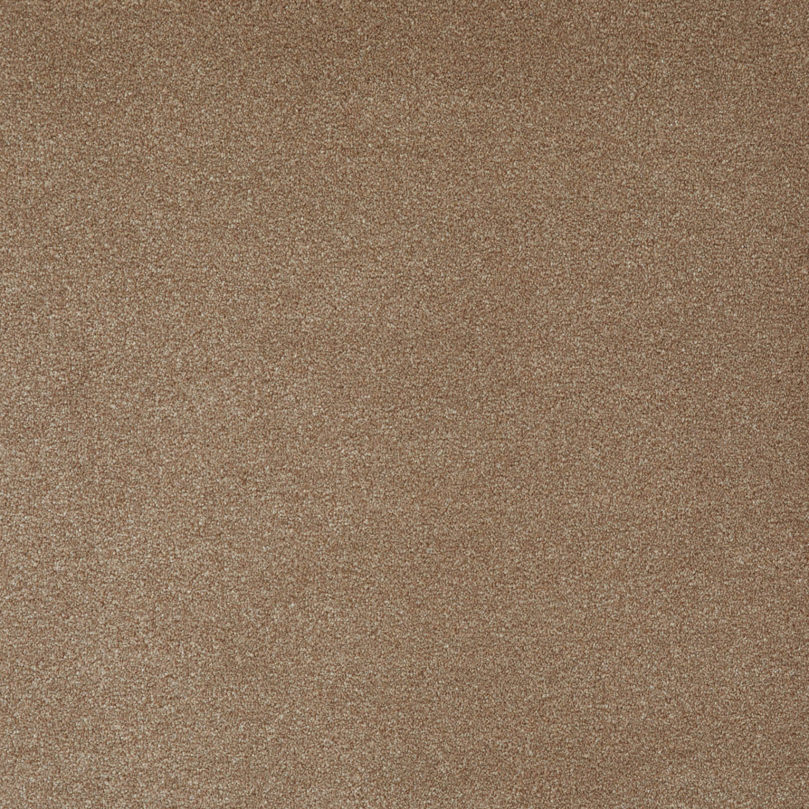 Himalaya Saxony 67 (4.00m x 4.00m) M017944