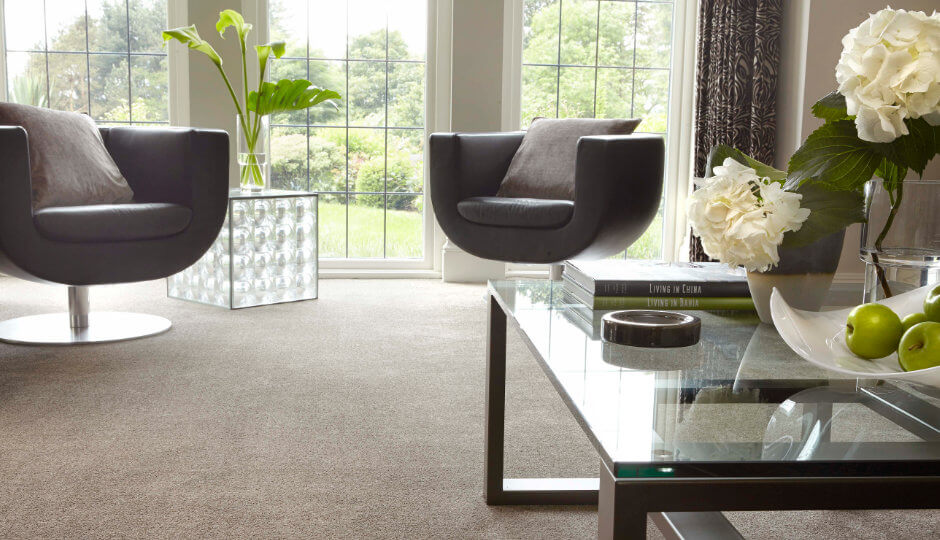 Living Room Carpet
