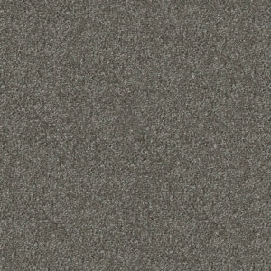 Apollo Plus Carpet
