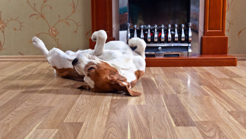 Laminate floor care