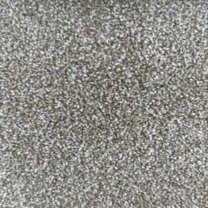 Asco 1808 Biscotti (1.50m x 5.00m) M009878
