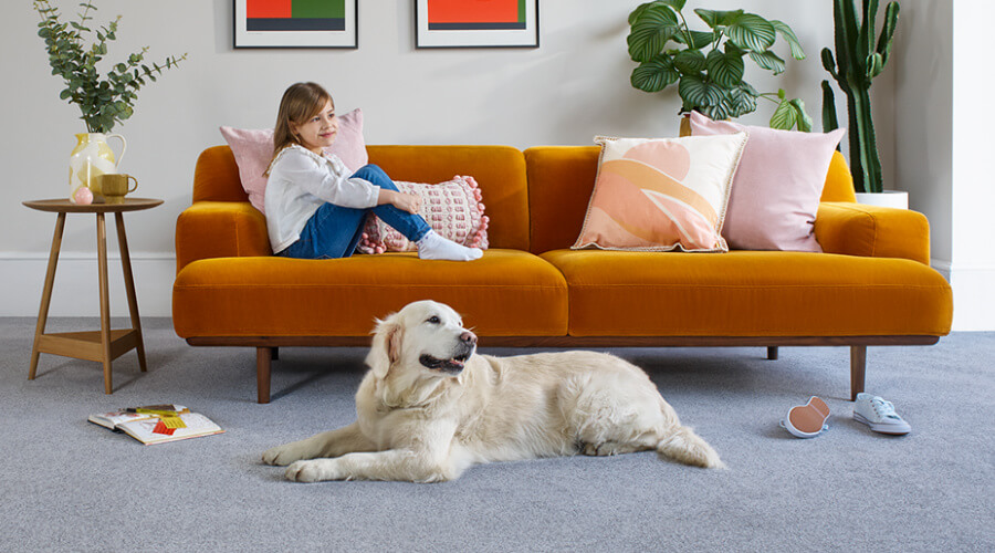 Apollo Plus Carpets