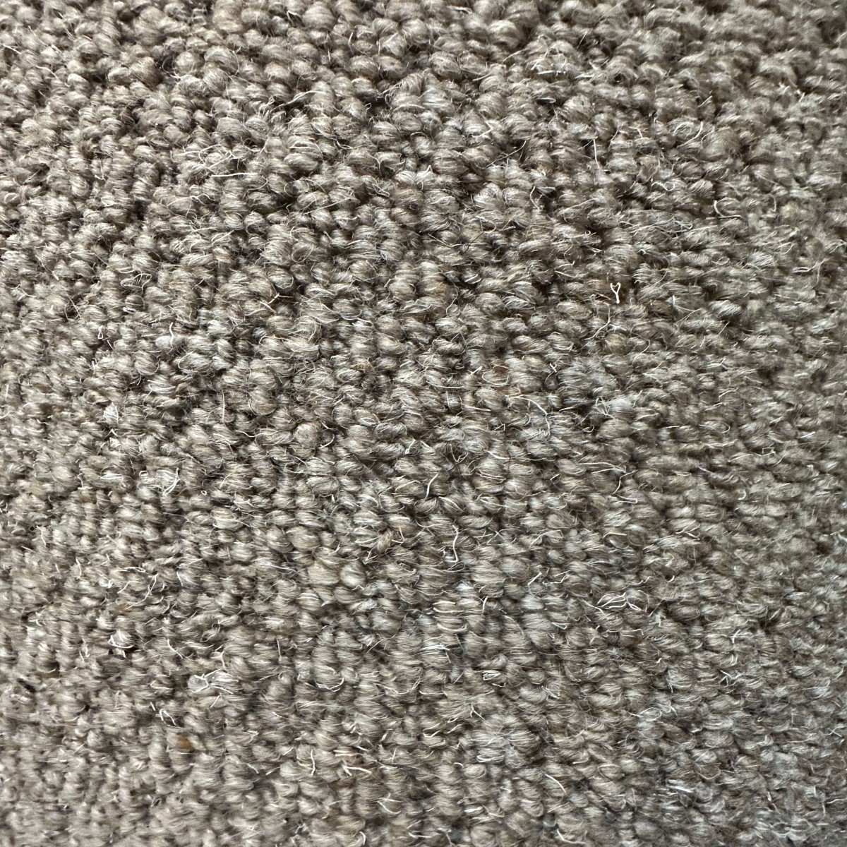 New Berber Elite Windsor Brown (5.00m x 5.00m) M014117