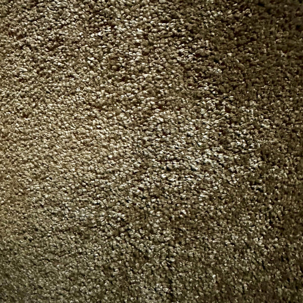 Enver 9974 Chestnut (1.85m x 4.00m) M009880
