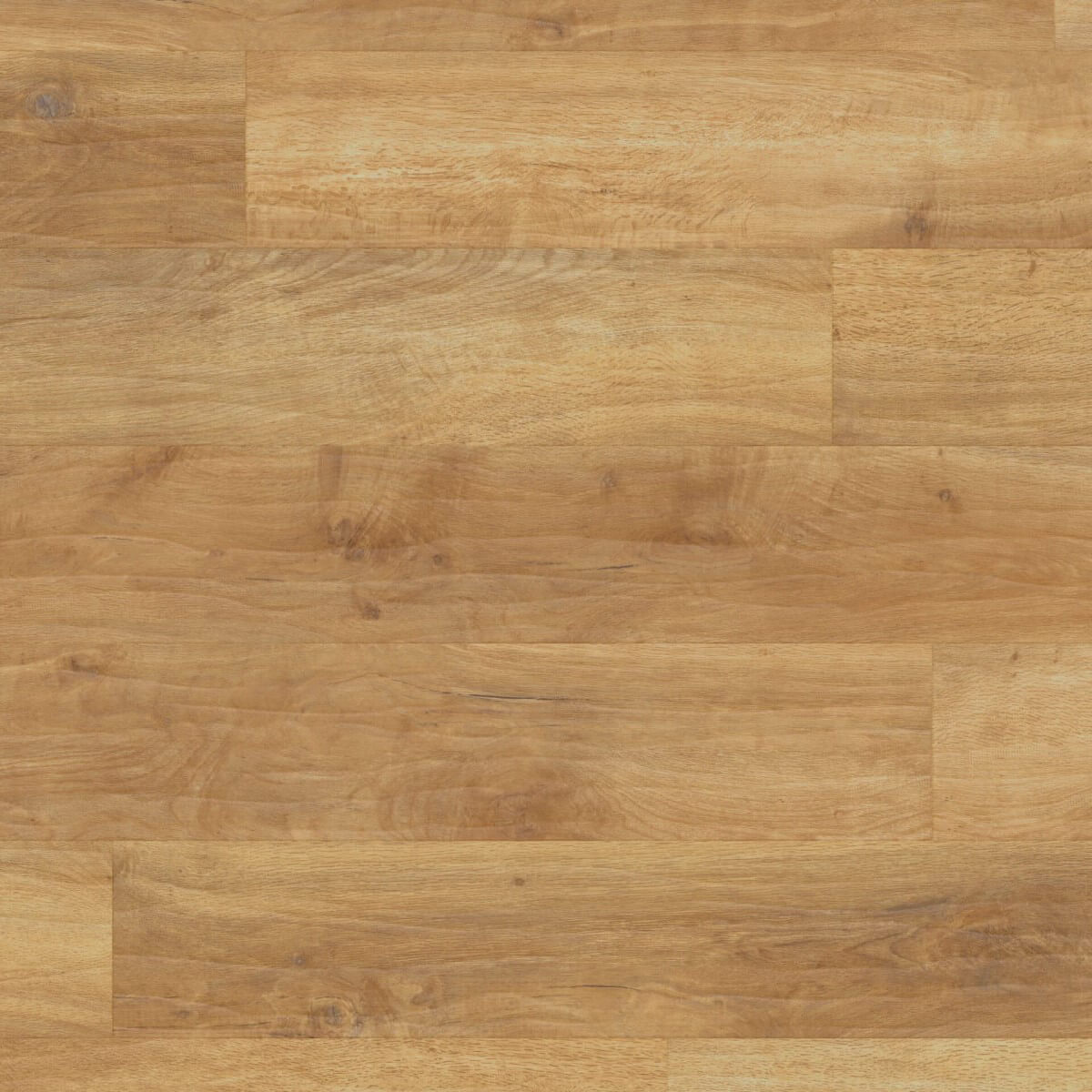 Art Select Spring Oak RL01