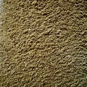 Asco 1813 (6.00m x 5.00m) M013636