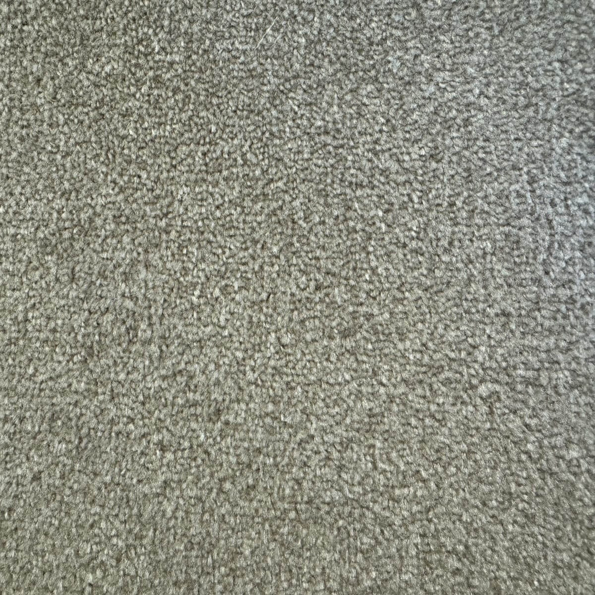 Derby Twist 6110 Pebble (4.55m x 4.00m) M017927