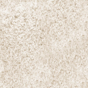 Regal carpet