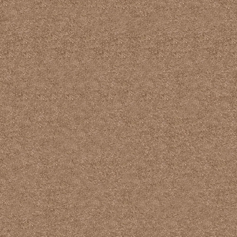 Obsession Carpet