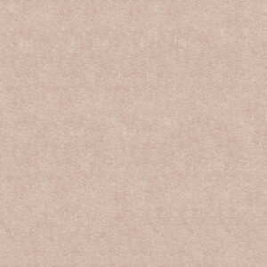 Serenity Carpet