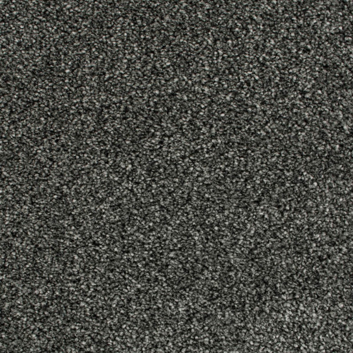 Cassius Saxony Carpet