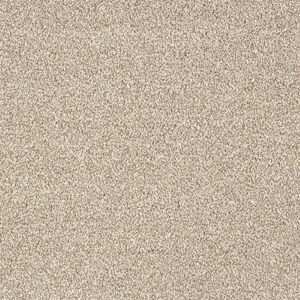 Indulgence Carpet