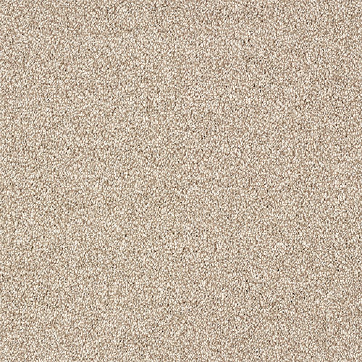 Indulgence Carpet