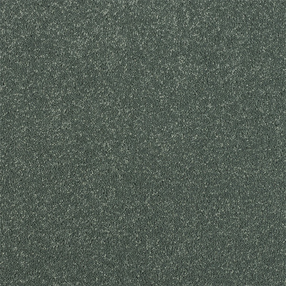 Maximus Carpet