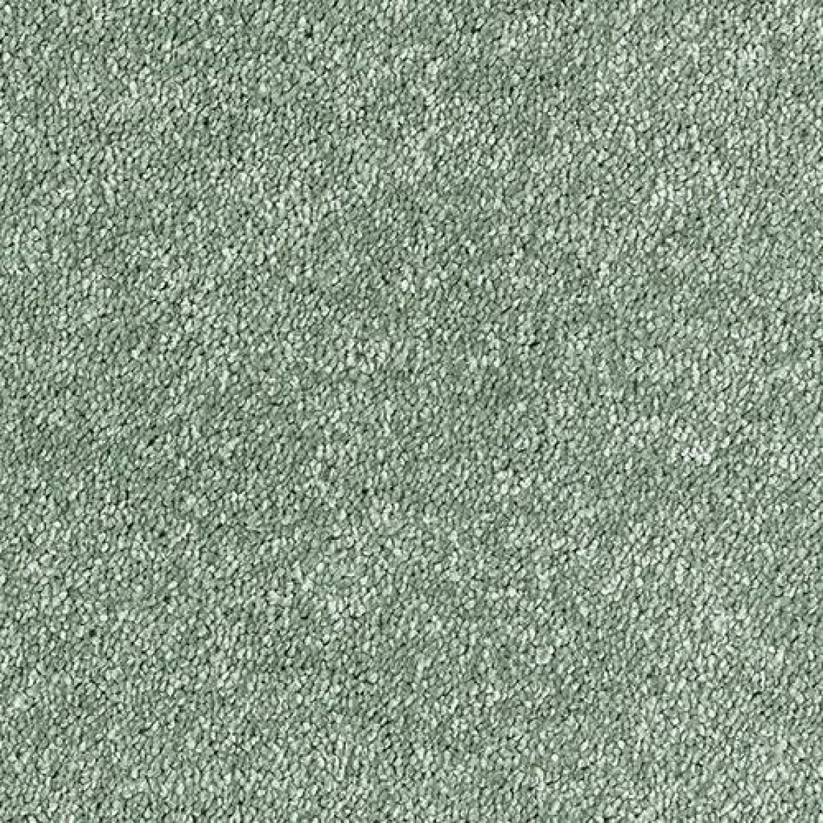 Sophisticat Carpet