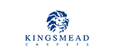 Kingsmead Carpets